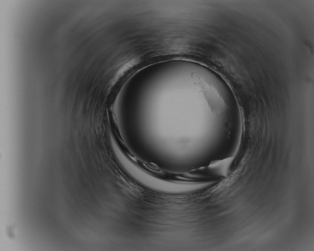 X0000093491210200710121459