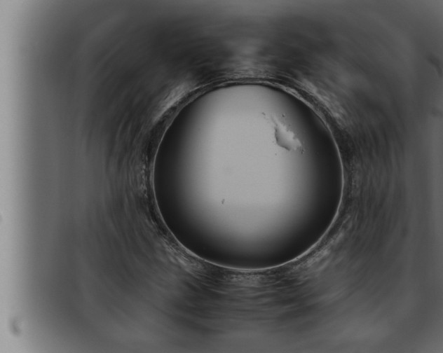 X0000093491211200710121459