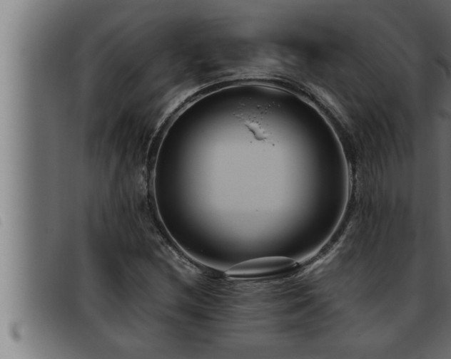 X0000093491212200710121459