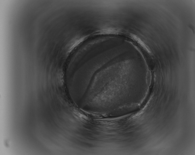 X0000093491213200710121459
