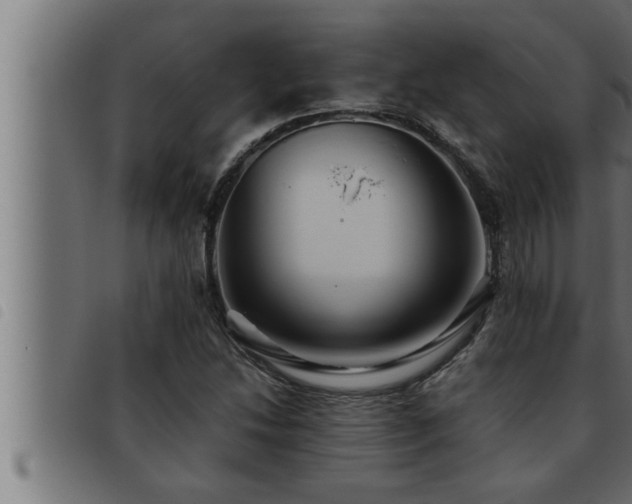 X0000093491214200710121459