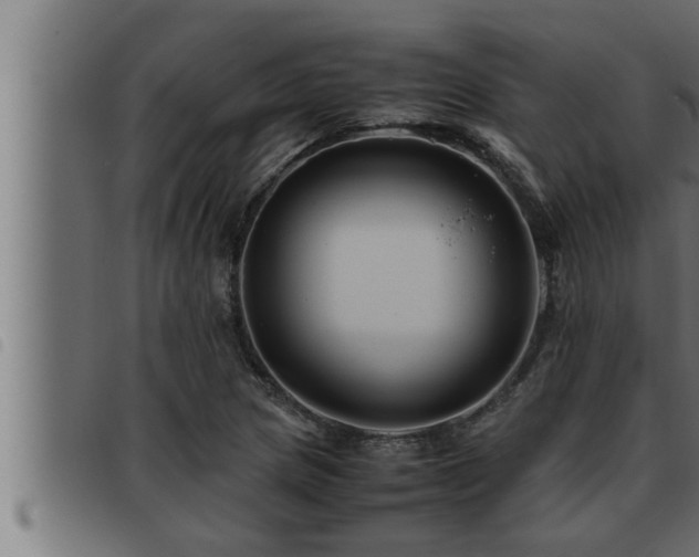 X0000093491217200710121459
