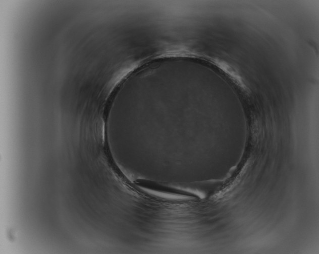 X0000093491221200710121500