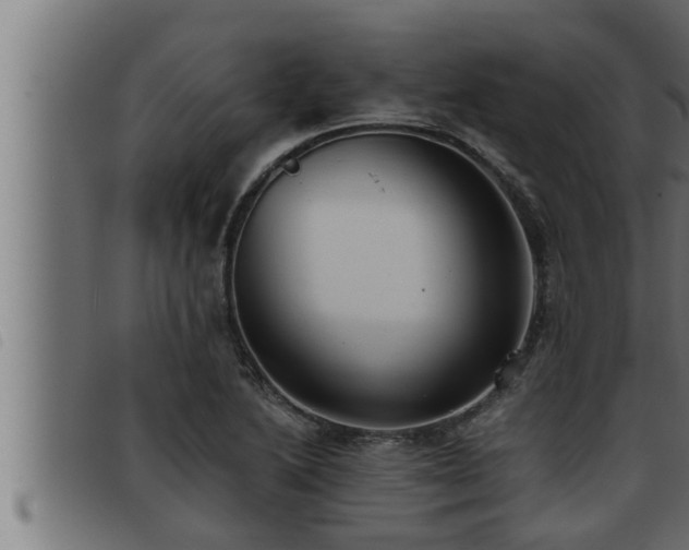 X0000093491222200710121500