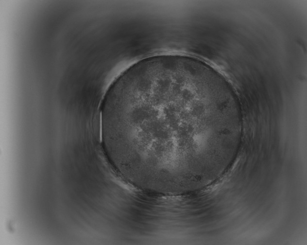 X0000093491223200710121500