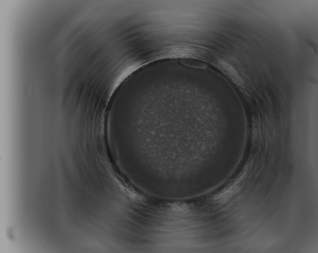 X0000093491226200710121500