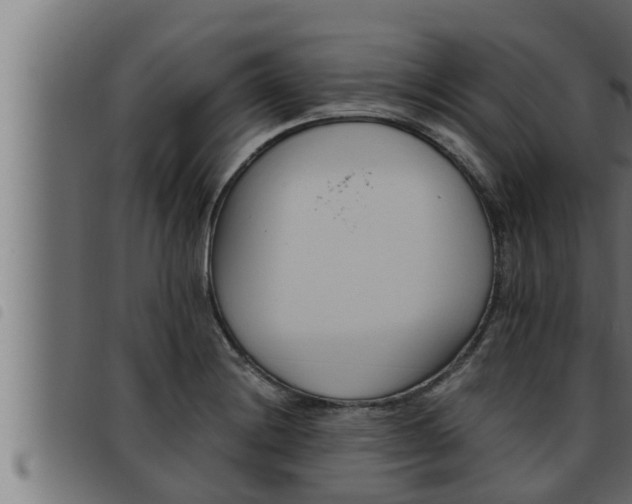 X0000093491228200710121500
