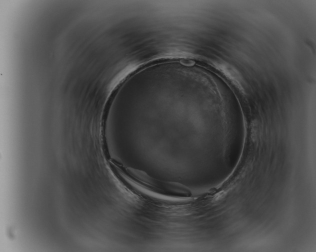 X0000093491229200710121500