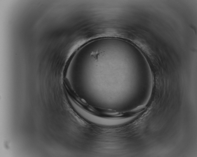 X0000093491230200710121500