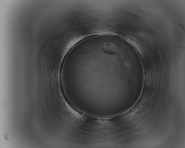 X0000093491231200710121500