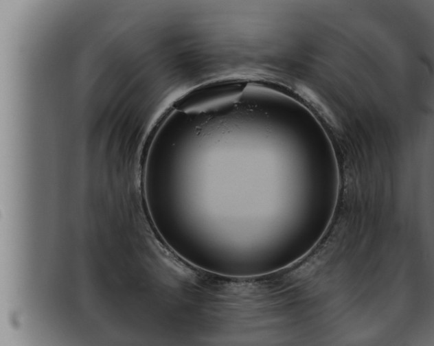 X0000093491232200710121500