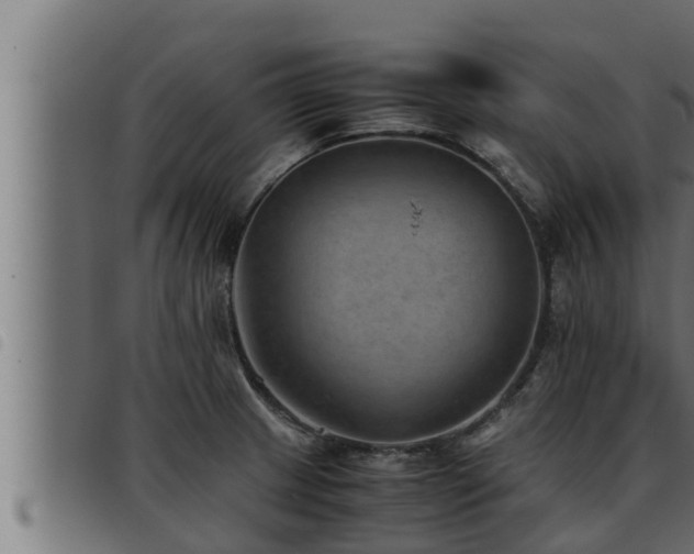 X0000093491233200710121500
