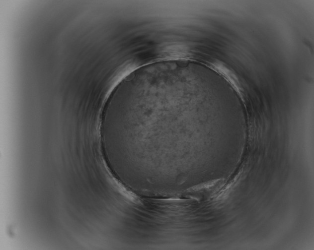 X0000093491235200710121500
