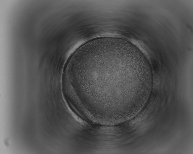 X0000093491237200710121500