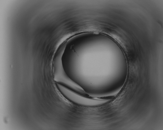 X0000093491238200710121500