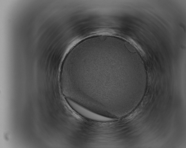 X0000093491240200710121500