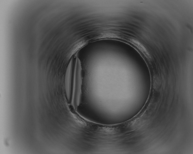 X0000093491241200710121500
