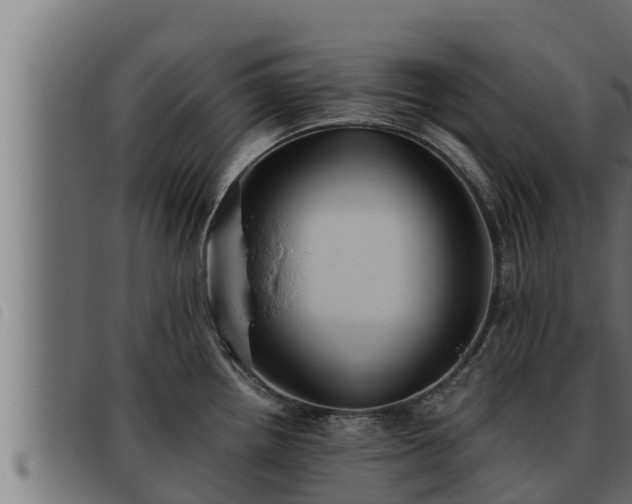 X0000093491242200710121500
