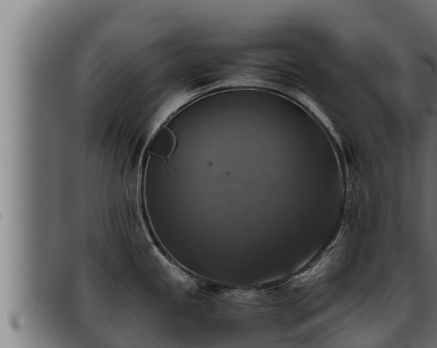 X0000093491245200710121500
