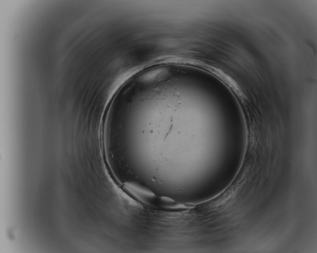 X0000093491247200710121500