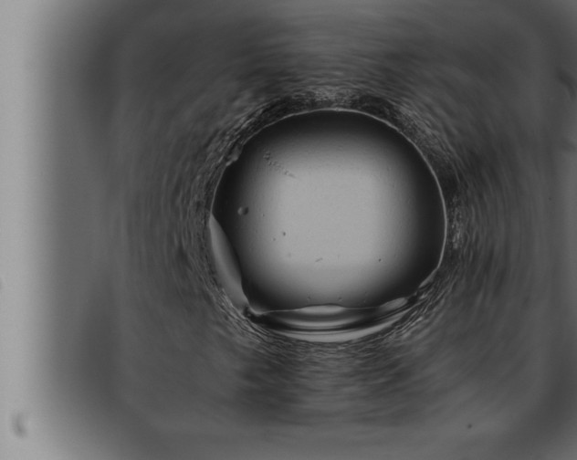 X0000093491249200710121459