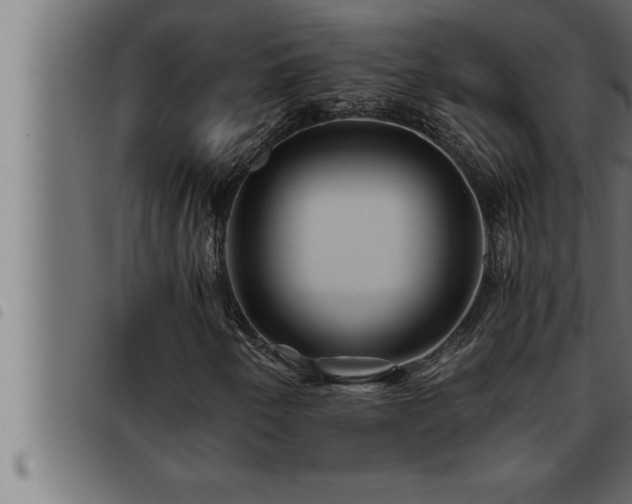 X0000093491250200710121459