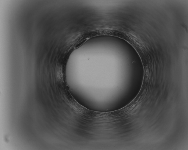 X0000093491252200710121459