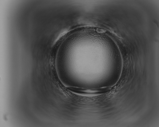 X0000093491255200710121459