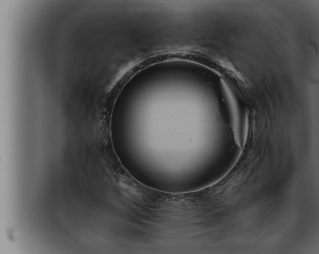 X0000093491256200710121459