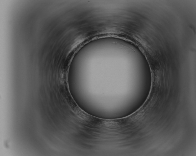 X0000093491258200710121459
