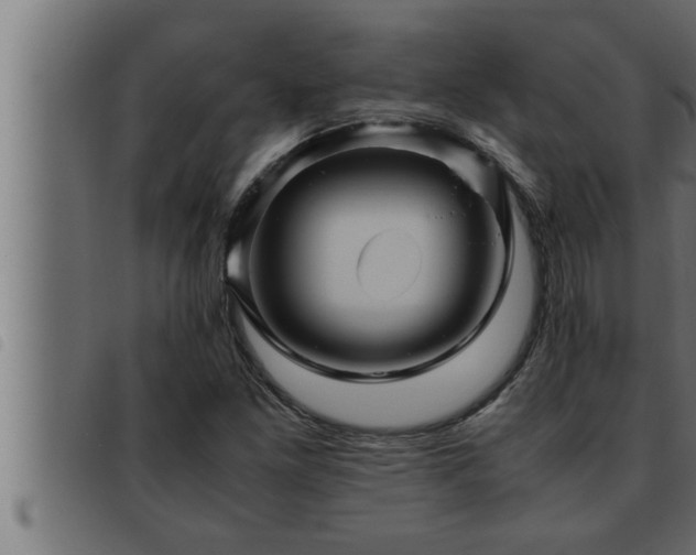 X0000093491261200710121459