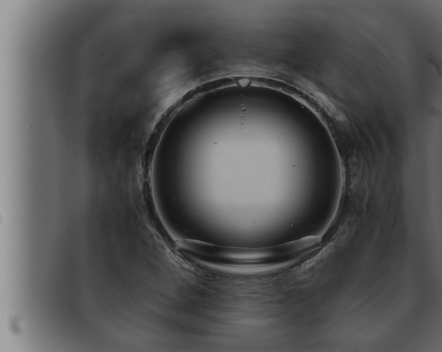 X0000093491264200710121459