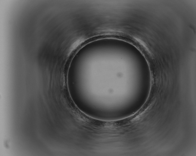 X0000093491267200710121459