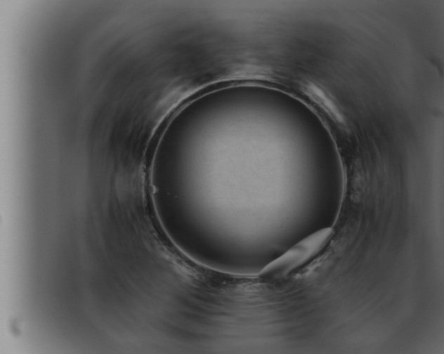 X0000093491268200710121459