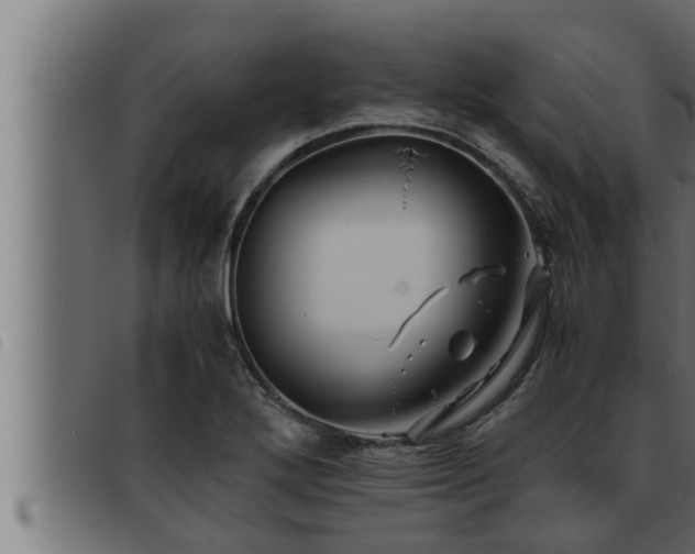 X0000093491272200710121459