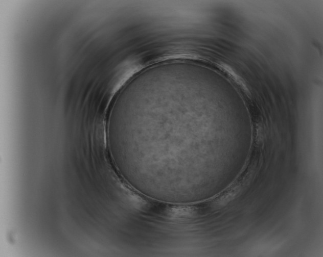 X0000093491274200710121459