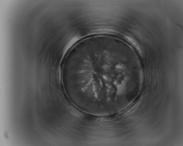 X0000093491275200710121459