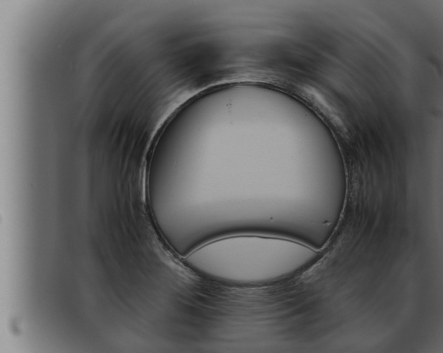 X0000093491276200710121459