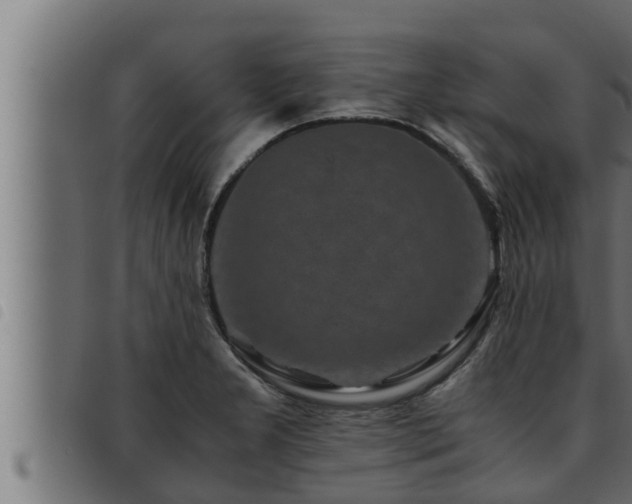 X0000093491277200710121459