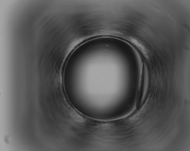X0000093491280200710121459