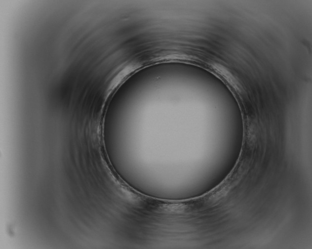 X0000093491282200710121459