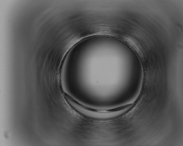 X0000093491284200710121459