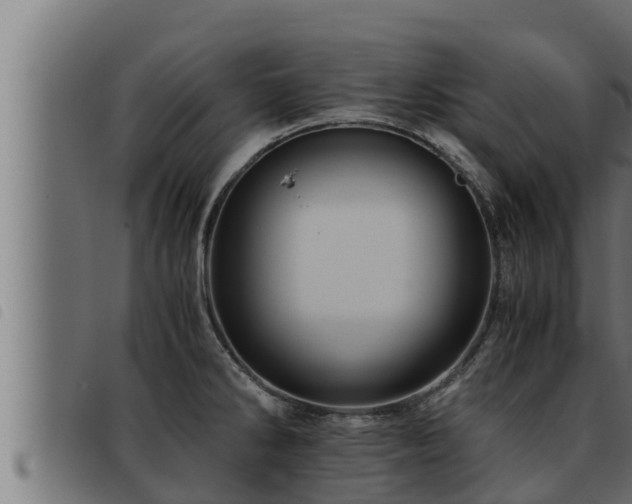 X0000093491286200710121459