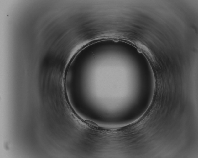 X0000093491288200710121459