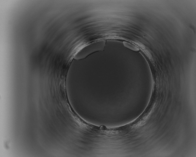 X0000093491289200710121459