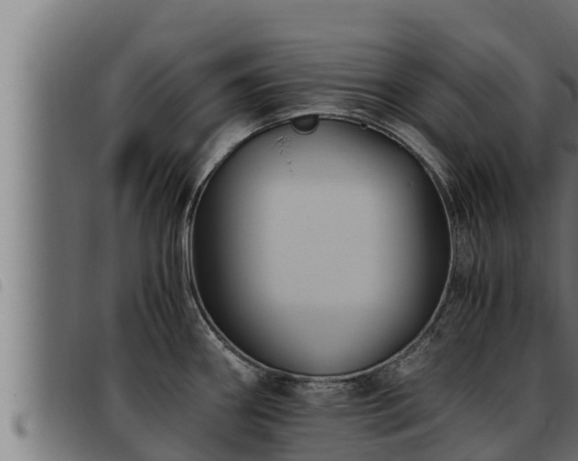 X0000093491290200710121459