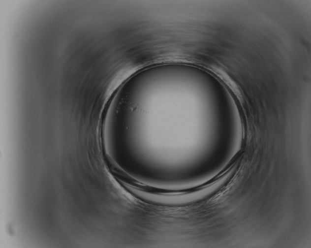 X0000093491293200710121459