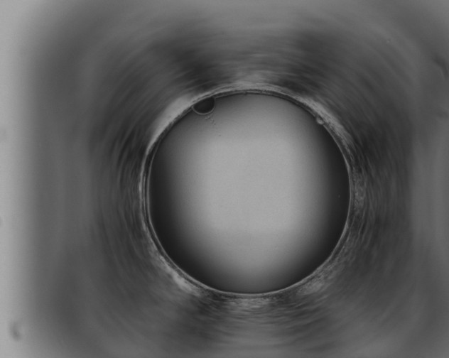 X0000093491294200710121459
