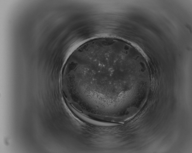 X0000093491295200710121459