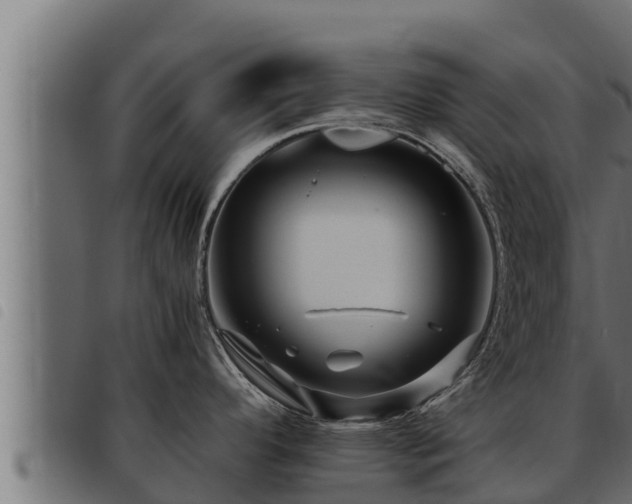 X0000093491296200710121459